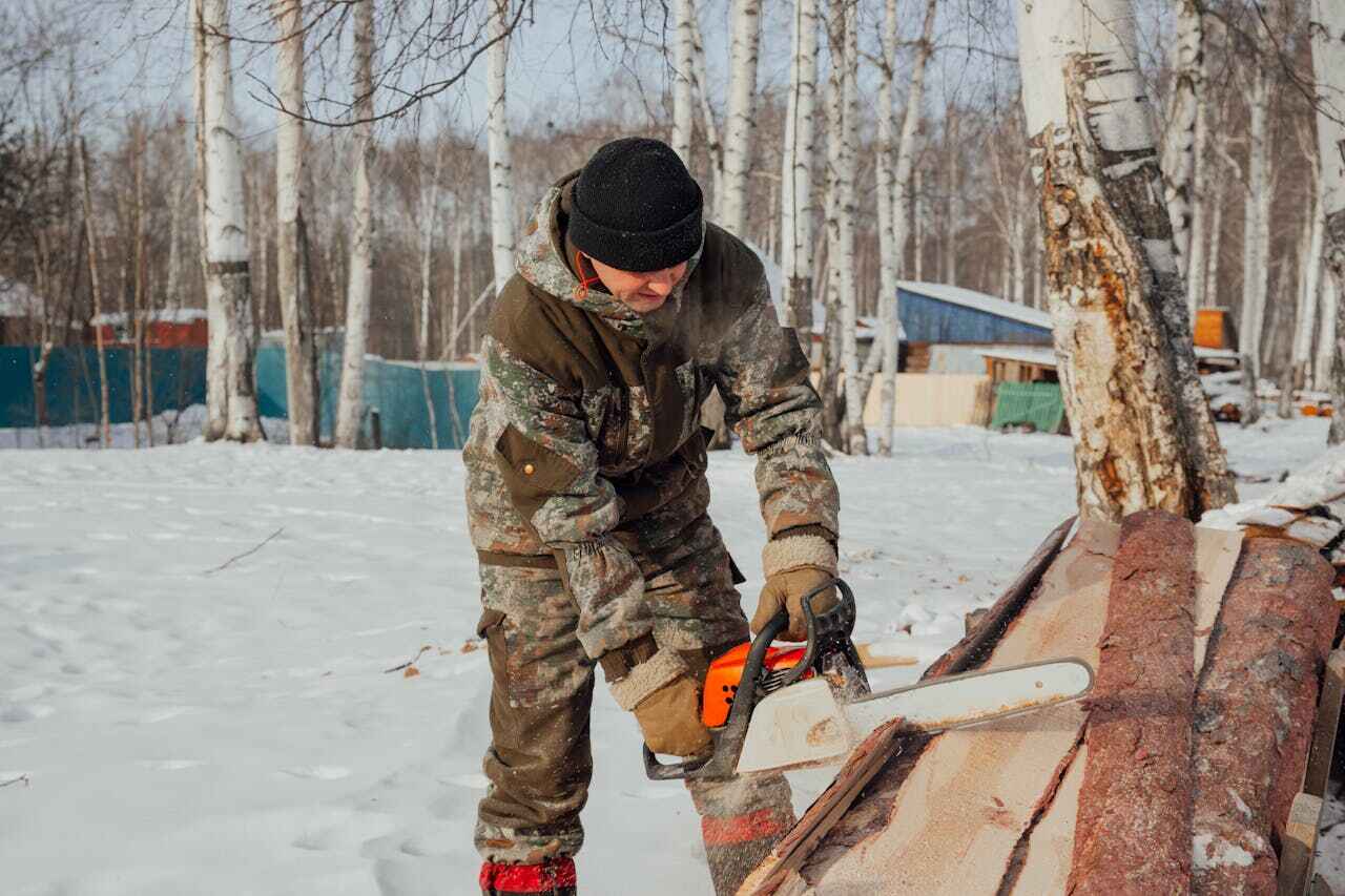 Upper Grand Lagoon, FL Tree Service Company